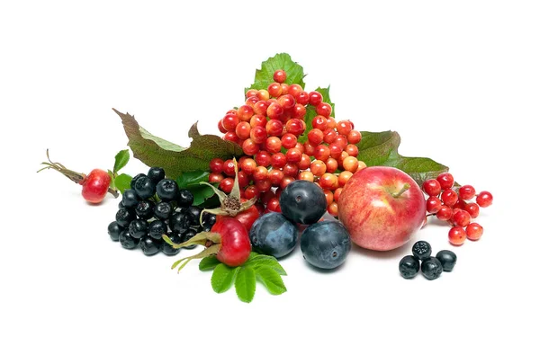 Bacche mature e frutta su sfondo bianco — Foto Stock