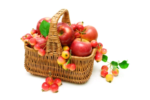 Apples in a basket on a white background — Stock Photo, Image