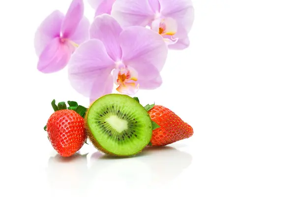 Sappige kiwi, aardbeien en orchideebloemen op een witte achtergrond — Stockfoto