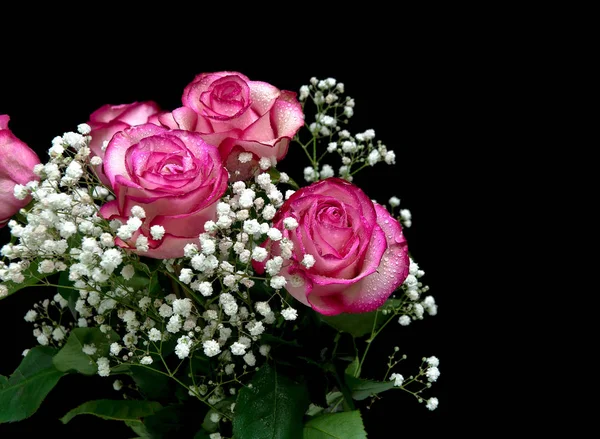 검은 배경에 고립 된 핑크 장미 꽃다발 — 스톡 사진
