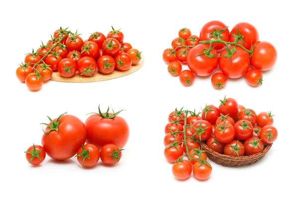 Pomodori maturi isolati su fondo bianco . — Foto Stock
