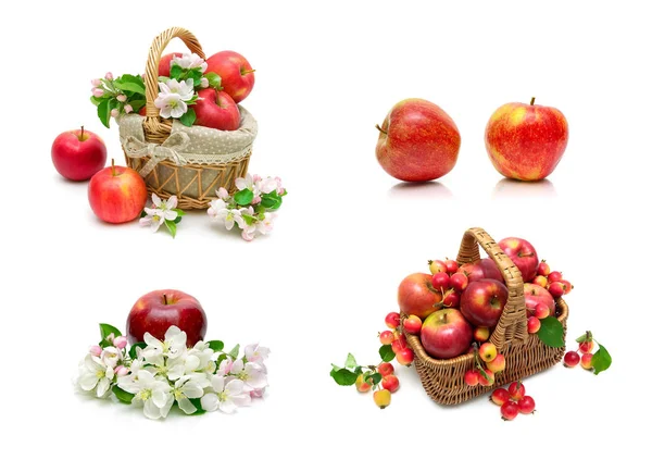 Ripe red apples on a white background. — Stock Photo, Image