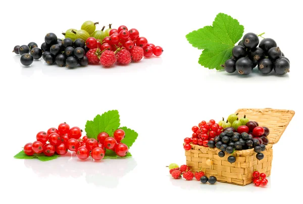 Ripe berries isolated on white background. — Stock Photo, Image