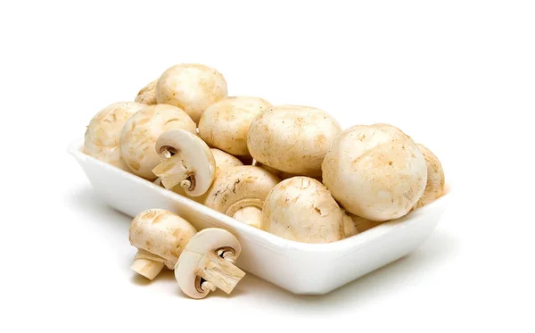 Grzyby champignons izolowane na białym tle — Zdjęcie stockowe