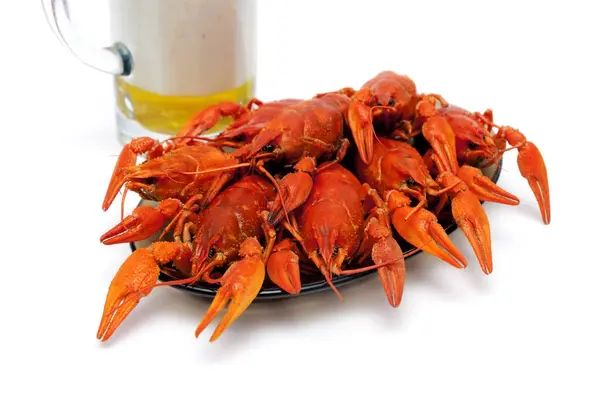 Boiled crawfish on a plate on a white background. — Stock Photo, Image