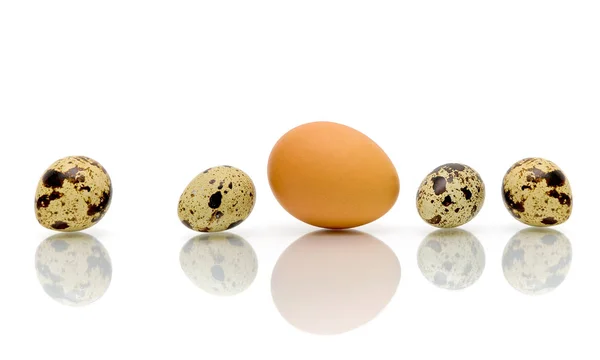Ovos de diferentes tipos sobre um fundo branco — Fotografia de Stock