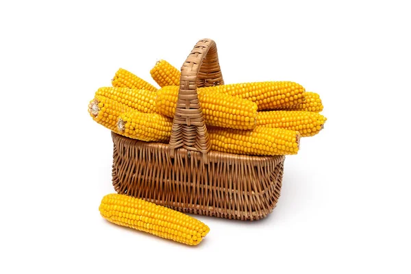 Mature corn cobs lie in a wicker basket. — Stock Photo, Image