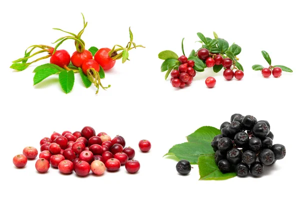 Different berries isolated on white background — Stock Photo, Image