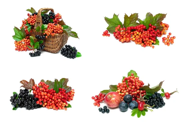 Fruit and berries isolated on white background — Stock Photo, Image