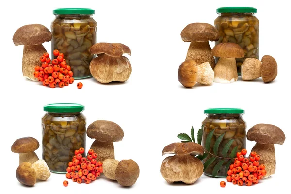 Mushrooms and a bunch of red rowan on a white background — Stock Photo, Image