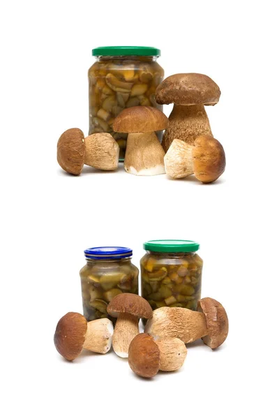 Fresh and marinated mushrooms isolated on a white background — Stock Photo, Image