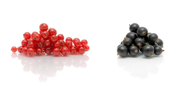 Ribes rosso e nero su fondo bianco — Foto Stock