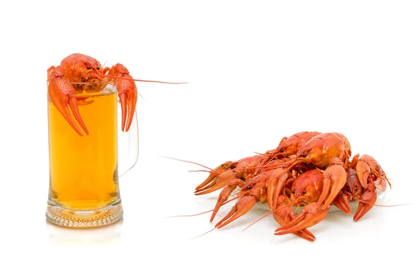 Boiled river crayfish and a glass of beer on a white background — Stock Photo, Image