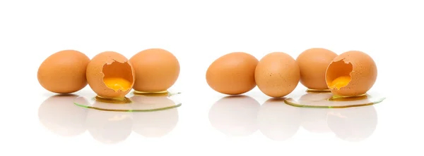 Ovos de galinha em um fundo branco — Fotografia de Stock