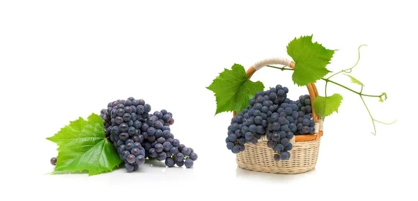 Érett szőlőfürt, a levelek egy fonott kosárban — Stock Fotó