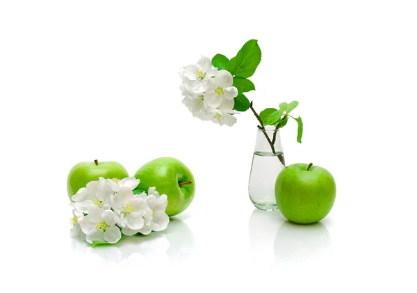 Manzana verde madura y rama floreciente de manzana en un respaldo blanco —  Fotos de Stock