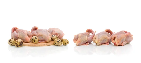 Carcasse di quaglie e uova di quaglia su fondo bianco — Foto Stock