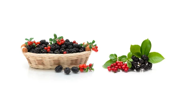 Berries isolated on white background — Stock Photo, Image