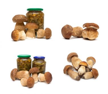 Beyaz bir arka plan üzerinde orman turşusu ve taze mantar