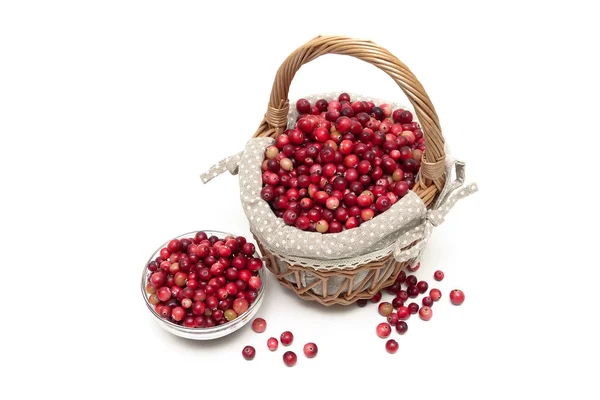 Cranberries maduras em um fundo branco — Fotografia de Stock