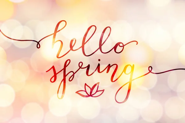 Bonjour lettrage printemps — Image vectorielle