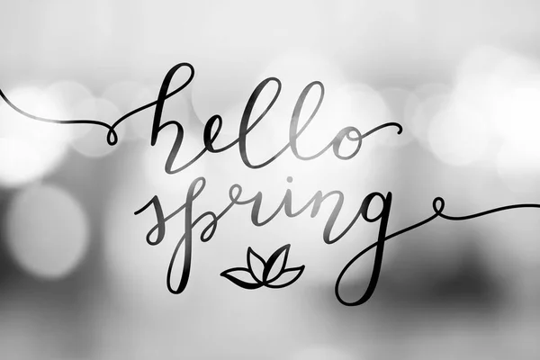 Hello spring lettering — Stock Vector