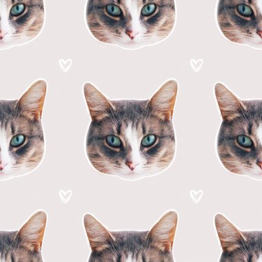 Kedi yüz seamless modeli