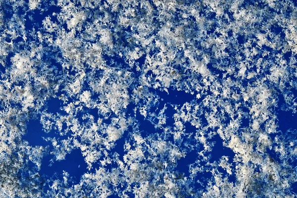 La neige blanche scintillante sur le bleu — Photo