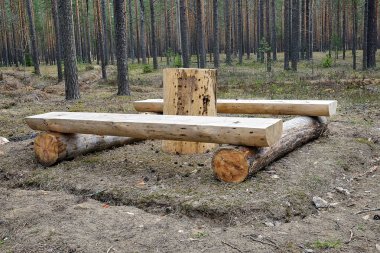 bir tablo, silindire tomruklardan banklar