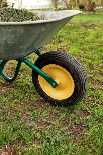 Garden wheelbarrow with grass — Stock Photo, Image