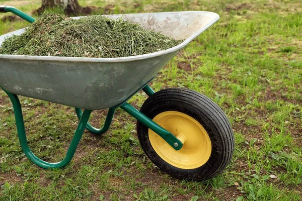 Carrinho de mão jardim com grama — Fotografia de Stock