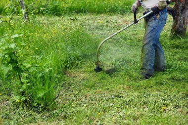 Büyükanne çim mows