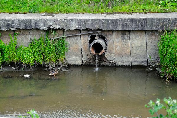 emissions from the plant
