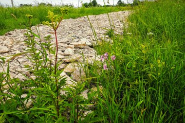 bir alandaki kayalık yol