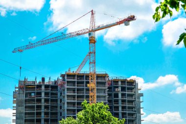 Bir inşaat alanında turna.