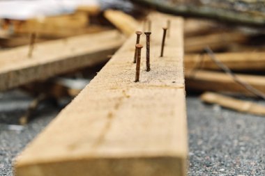 Yönetim Kurulu paslı çivi