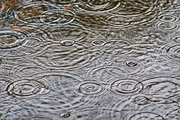 Chuva cai sobre a água — Fotografia de Stock