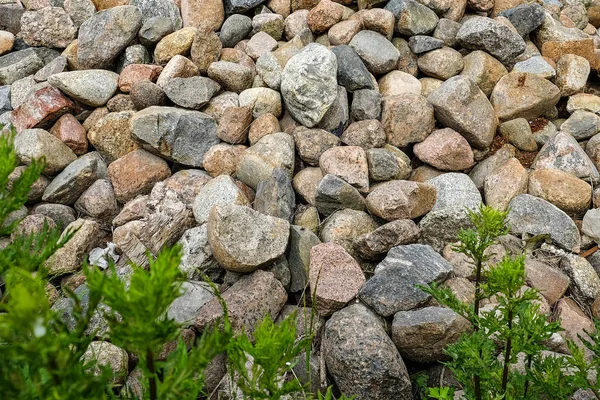 Beach of large pebbles — Stock Photo, Image