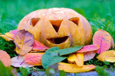 Kabak çim yaprakları arasında parkında Cadılar Bayramı için