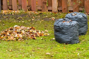 Ülkenin düşen yapraklar temizleniyor