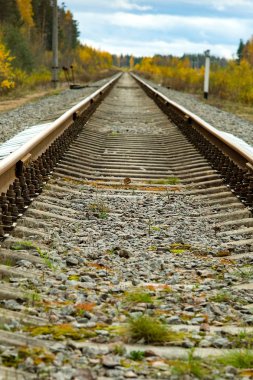 Uzağa uzanan raylar