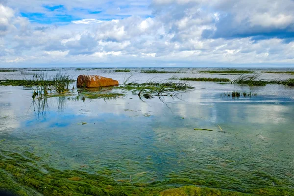 Baltık Denizi'nin parlak manzara — Stok fotoğraf