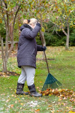 bir kadın yaprakları temizler