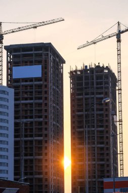 Bir inşaat alanında turna.