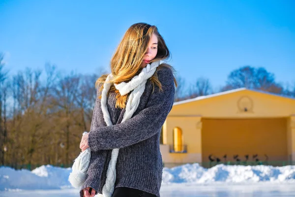 Vinter porträtt av en ung vacker flicka — Stockfoto