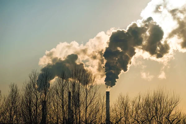 Thick smoke belching from factory chimneys — Stock Photo, Image