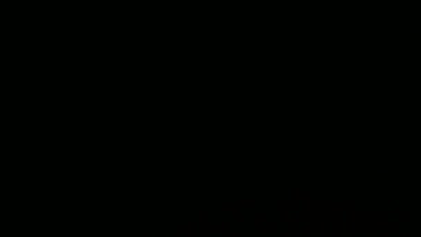 Διαρροή φωτός σε ποιότητα hd σε σκούρο φόντο με. Πραγματική φακού φωτοβολίδα — Αρχείο Βίντεο