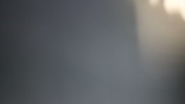 Pulsations lumineuses et brillances.belle fuite de lumière en qualité 4K hd sur fond sombre avec.Réel éclat de lentille et fuite de lumière .