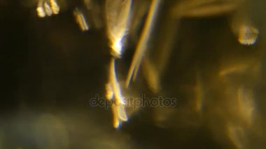 Film yakmak Footage.Light bakliyat ve yanıyor. Gerçek mercek parlaması ve hafif sızıntı ile koyu arka plan üzerinde Ultra yüksek çözünürlüklü güzel ışık sızıntısı.