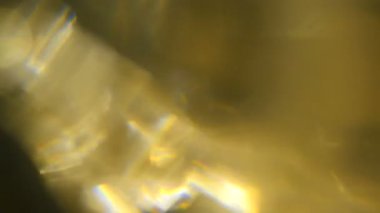 Film yakmak Footage.Light bakliyat ve yanıyor. Gerçek mercek parlaması ve hafif sızıntı ile koyu arka plan üzerinde Ultra yüksek çözünürlüklü güzel ışık sızıntısı.